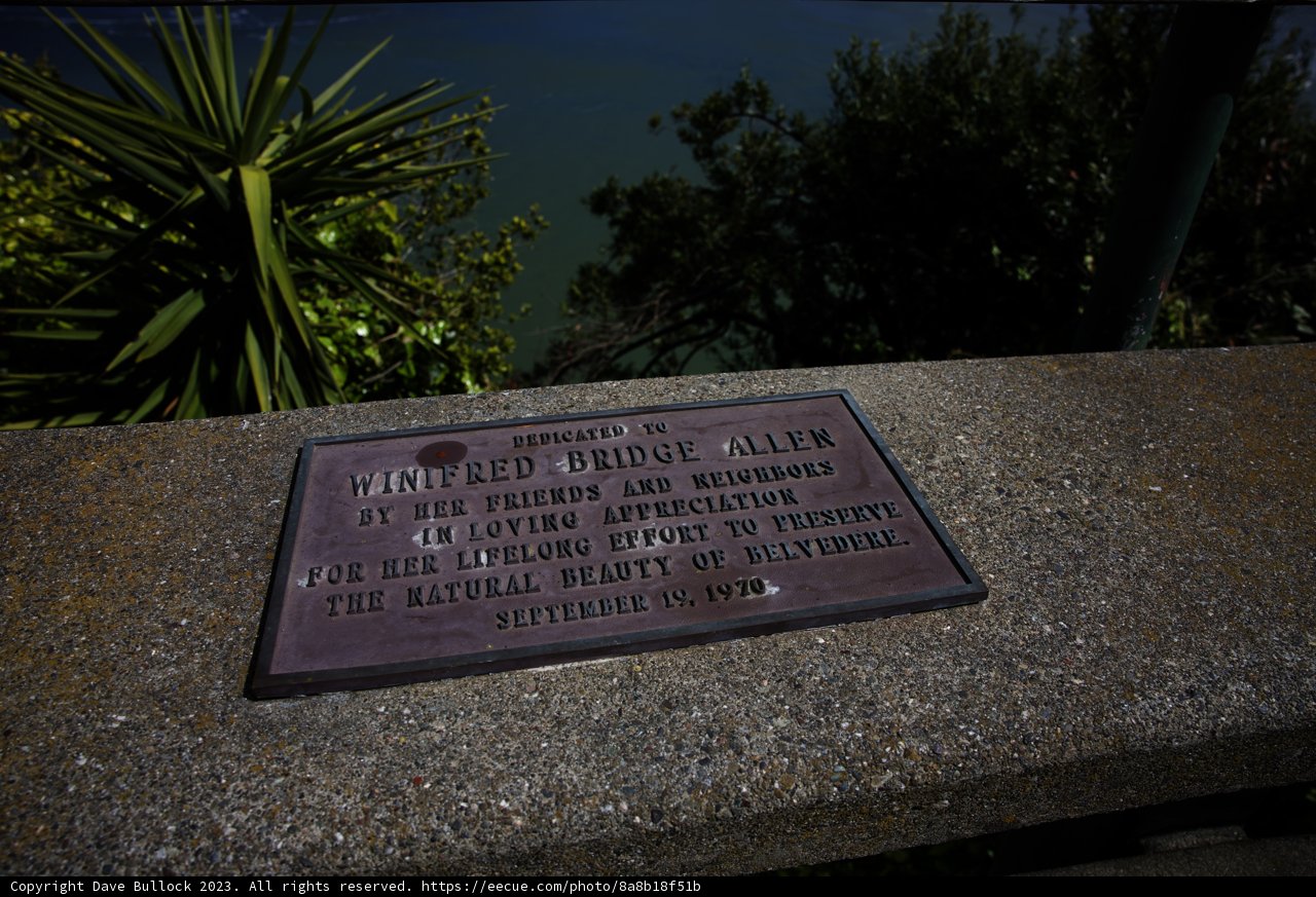 Mystical Plaque Amidst Nature