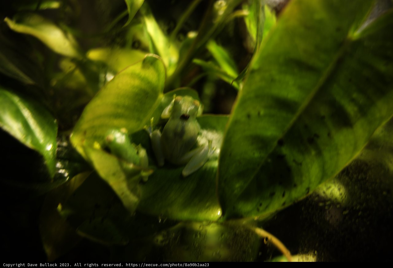 A Serene Sanctuary of Green