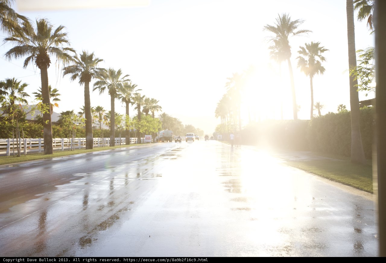 Sun-kissed Ride