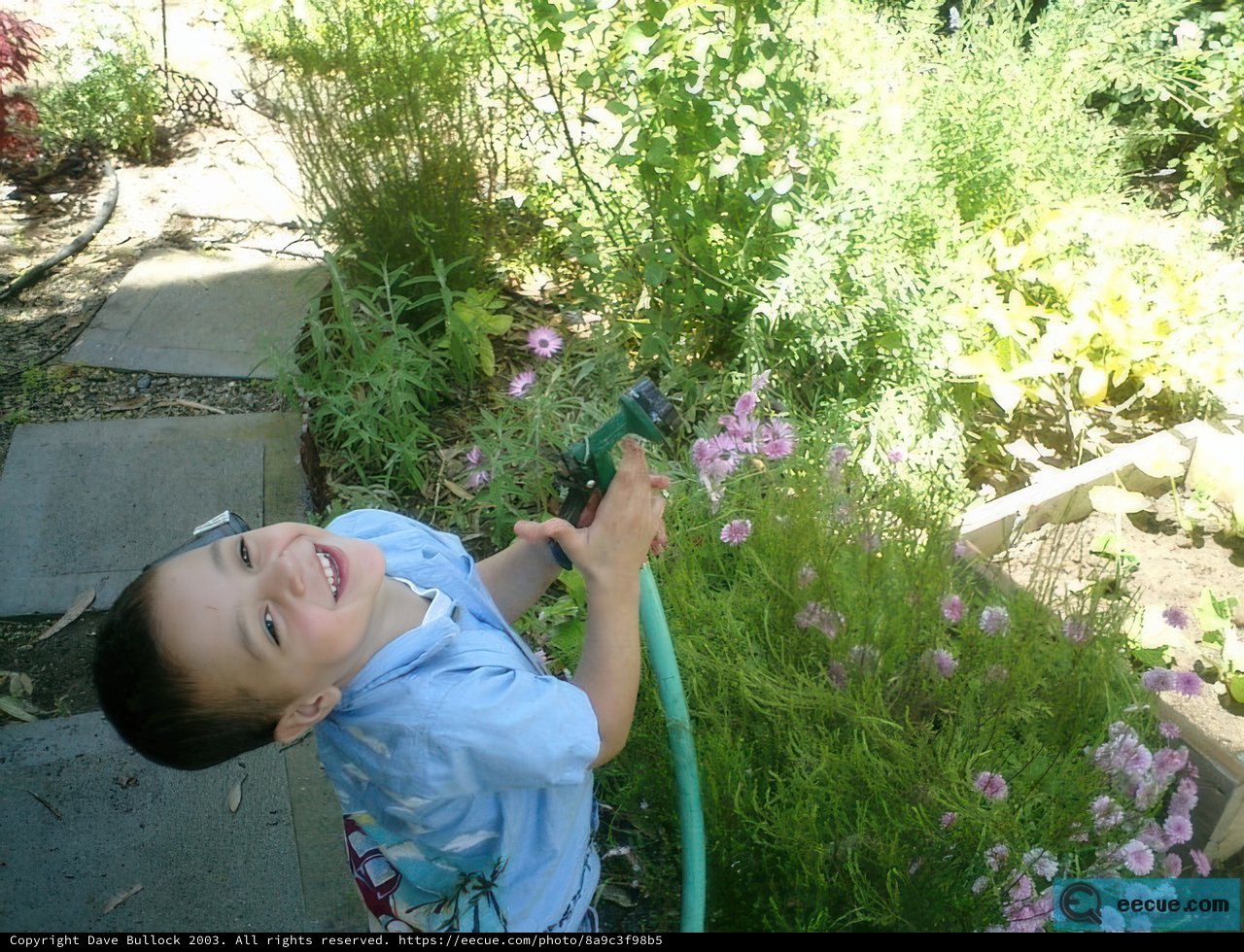 Herbal Gardening