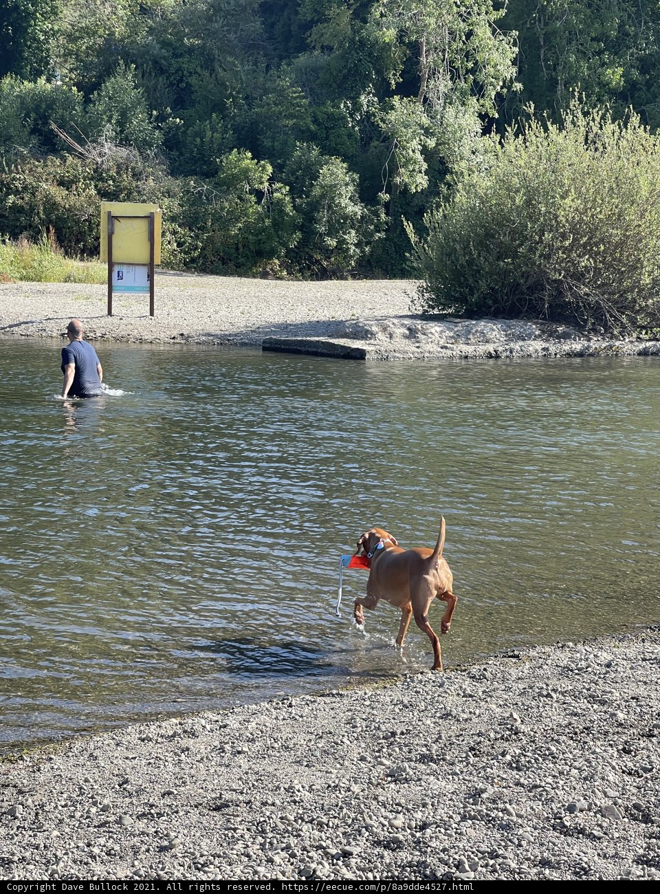 Summer Fun at Monte Rio Beach
