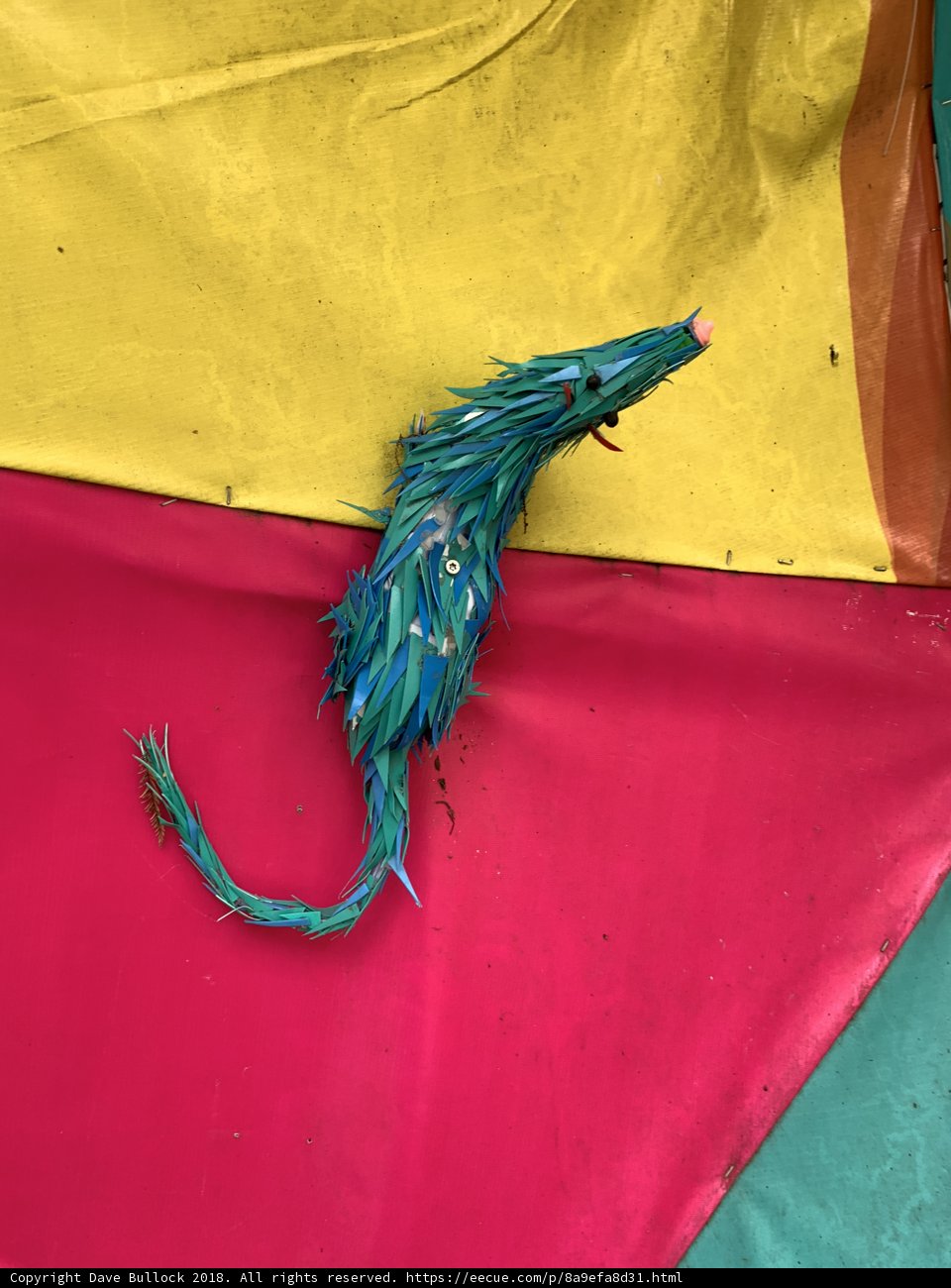 A Playful Rat on a Striped Blanket