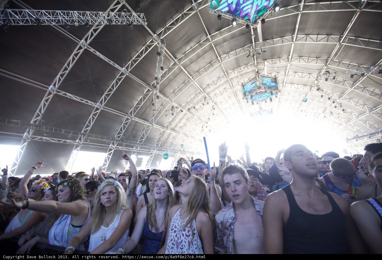 Coachella Crowd Goes Wild