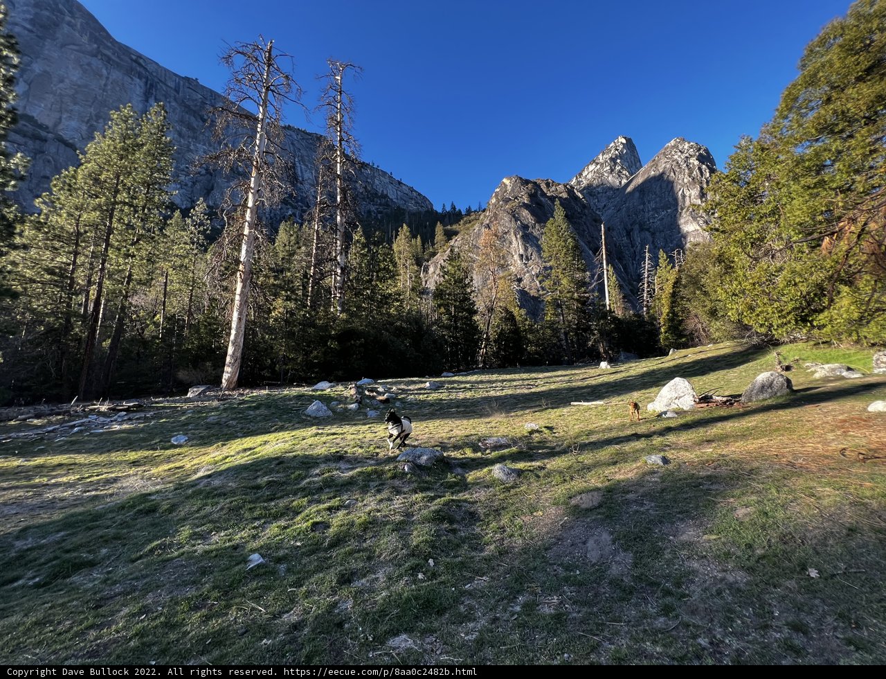 Majestic View of Yosemite's Mountain Range