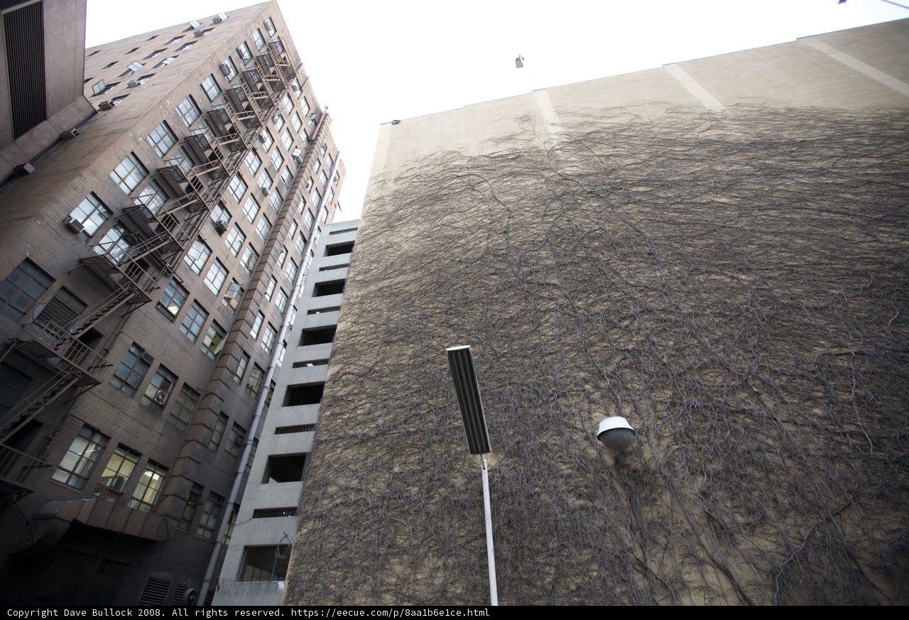 Urban High Rise Architecture