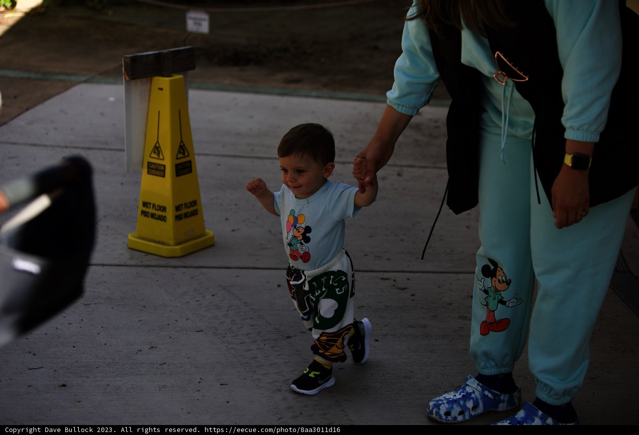 Strolling through Life: A Mother's Guidance