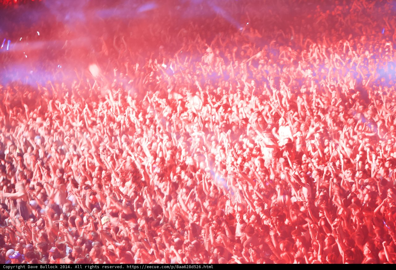 Lights, Crowd, Action