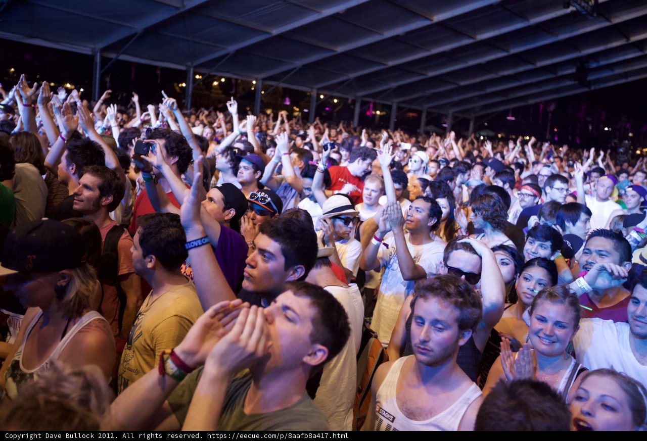Coachella Nights