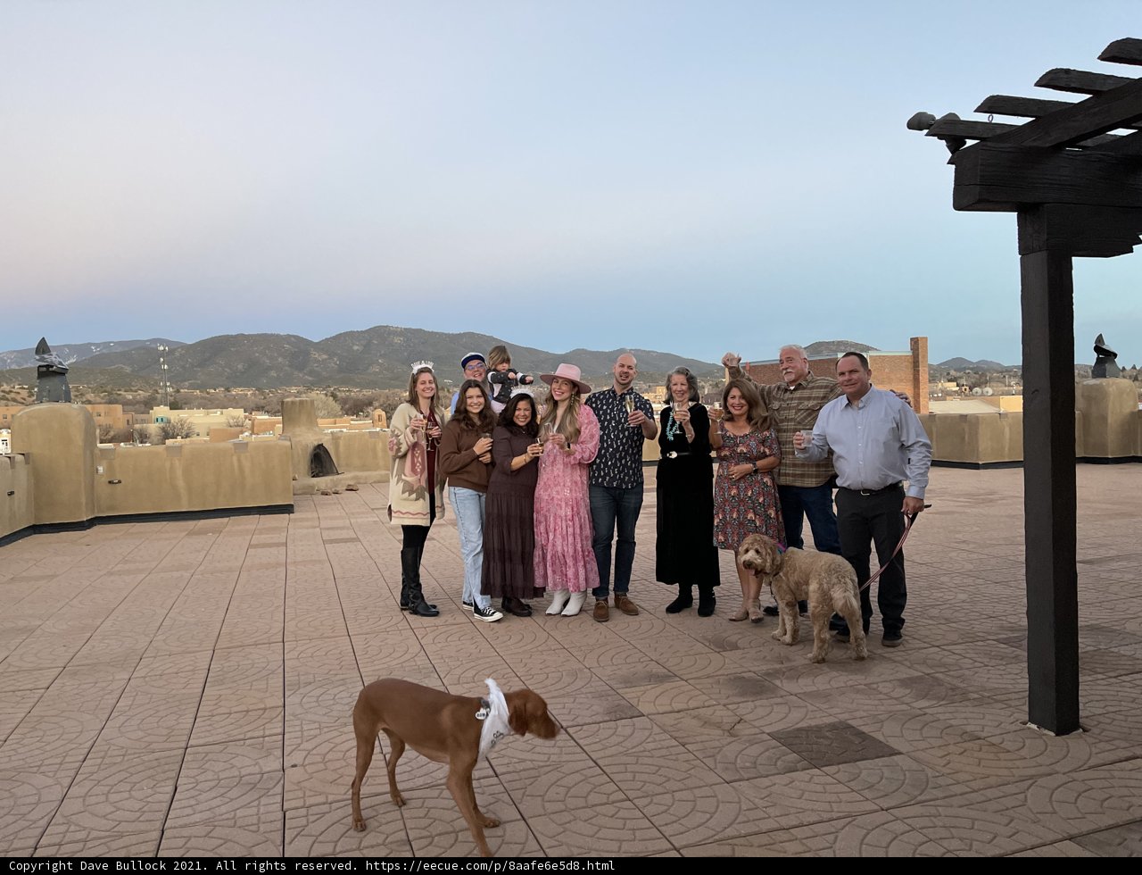 Rooftop Gathering with Furry Friend