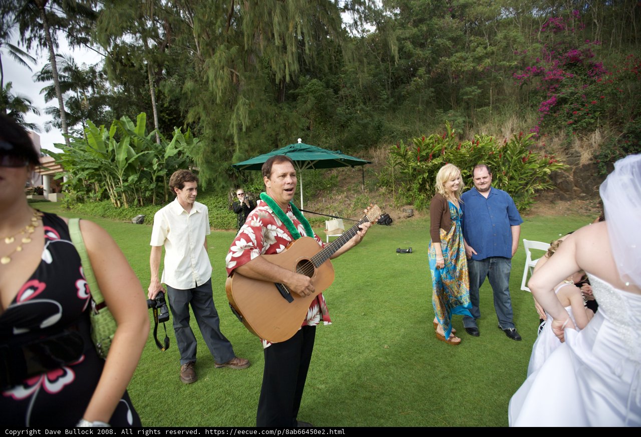 Music Jam in the Hawaiian Grass