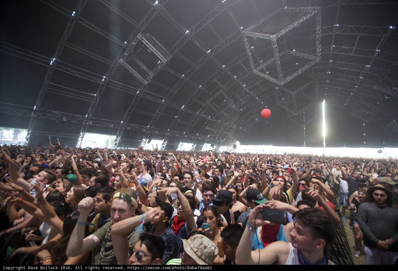 Music Festival Madness