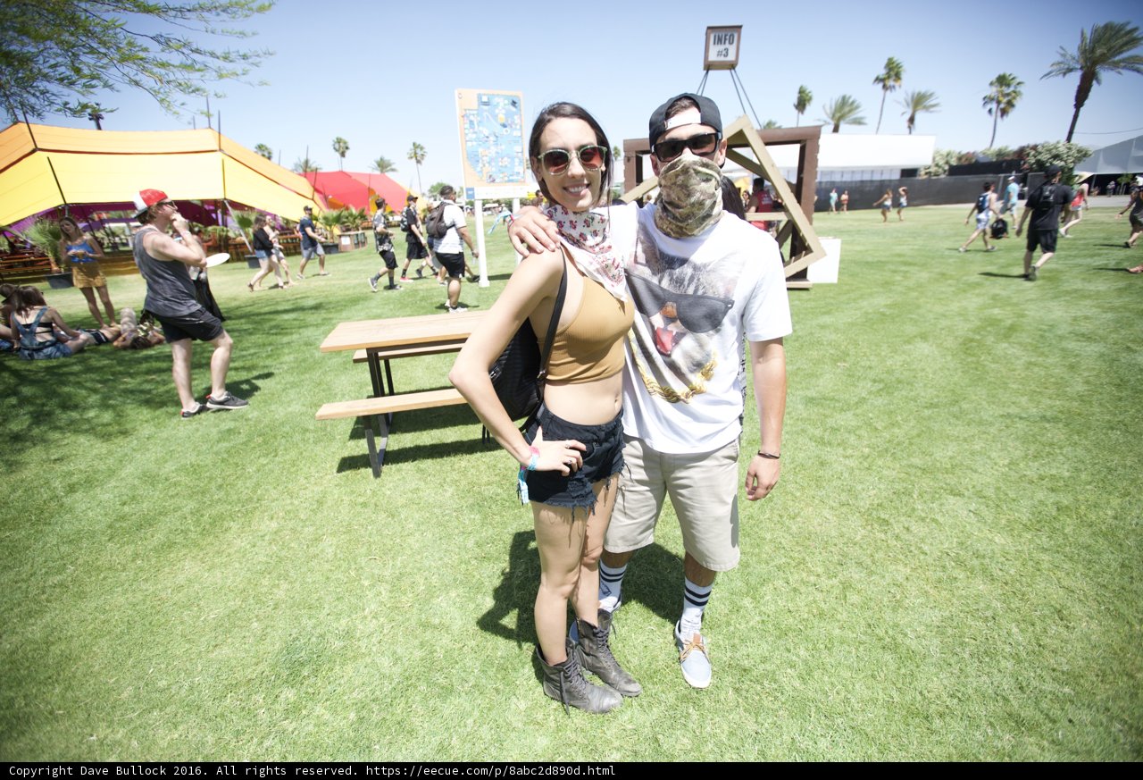 Festival Lovebirds