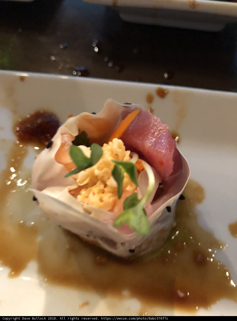 Savoring the Sushi Roll
