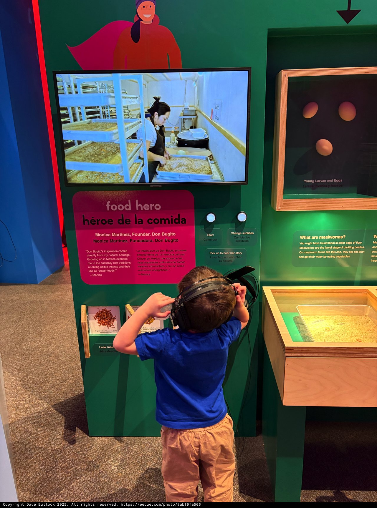 Child Explores Interactive Food Hero Museum Exhibit