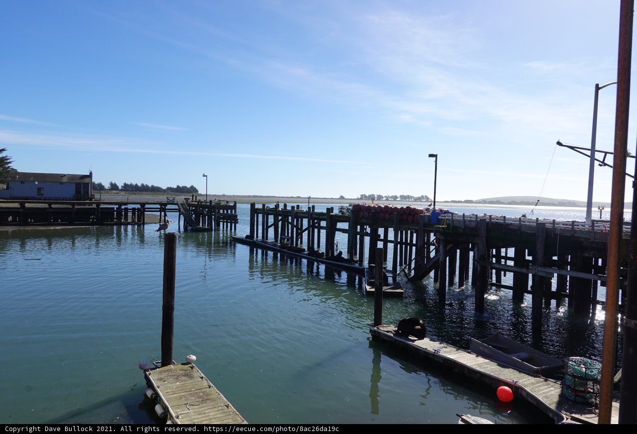 Boats and Dock in Bodega Harbor