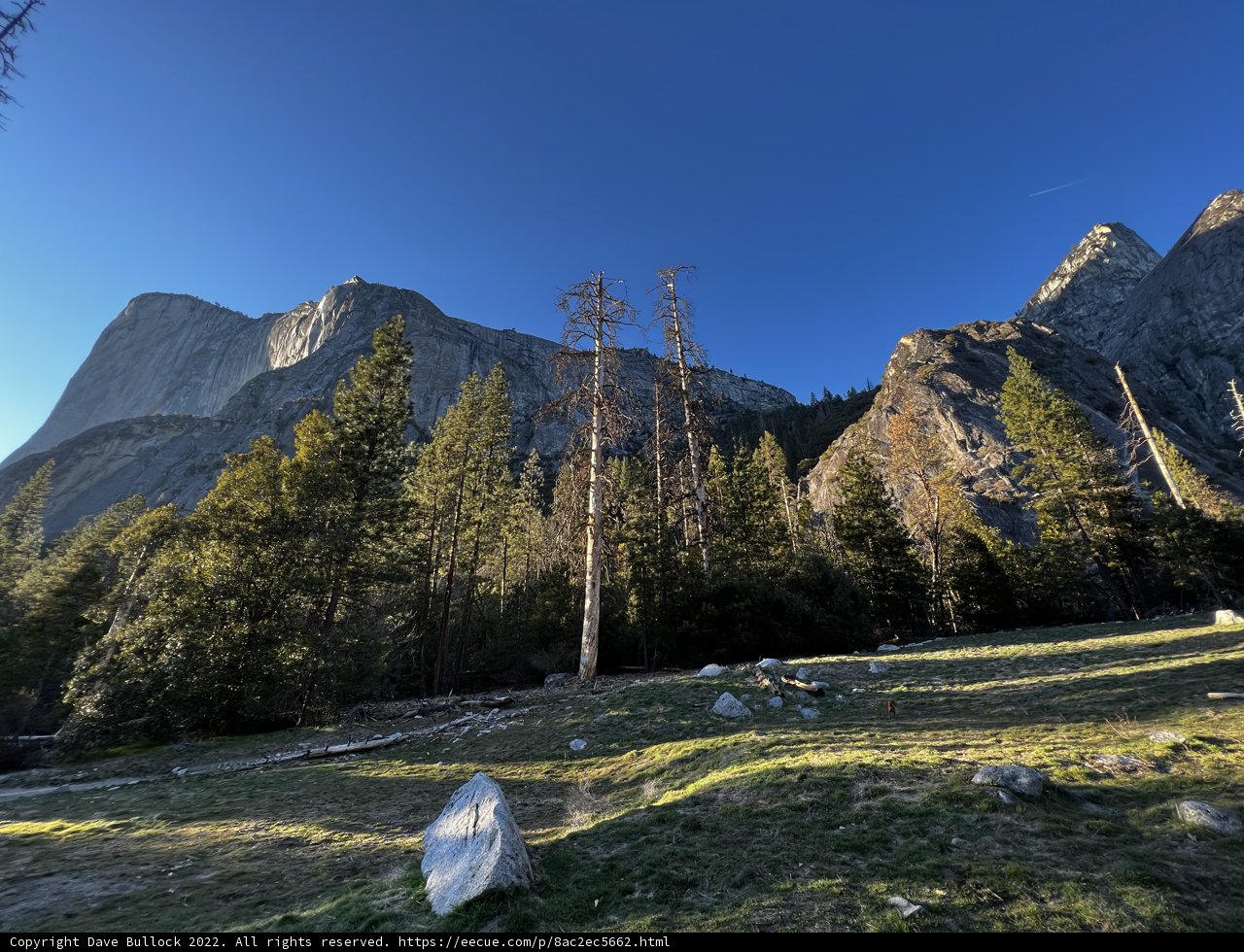 Majestic Yosemite Mountains and Trees