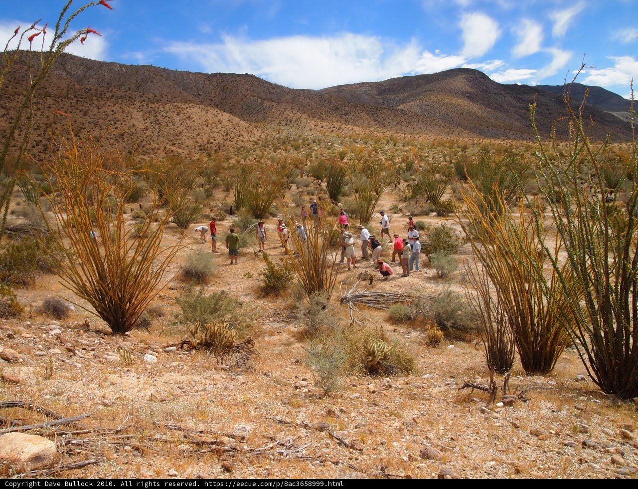 A Desert Adventure