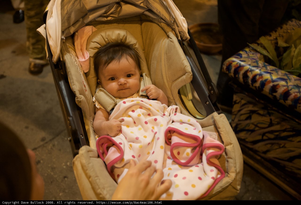 Baby in a Stroller