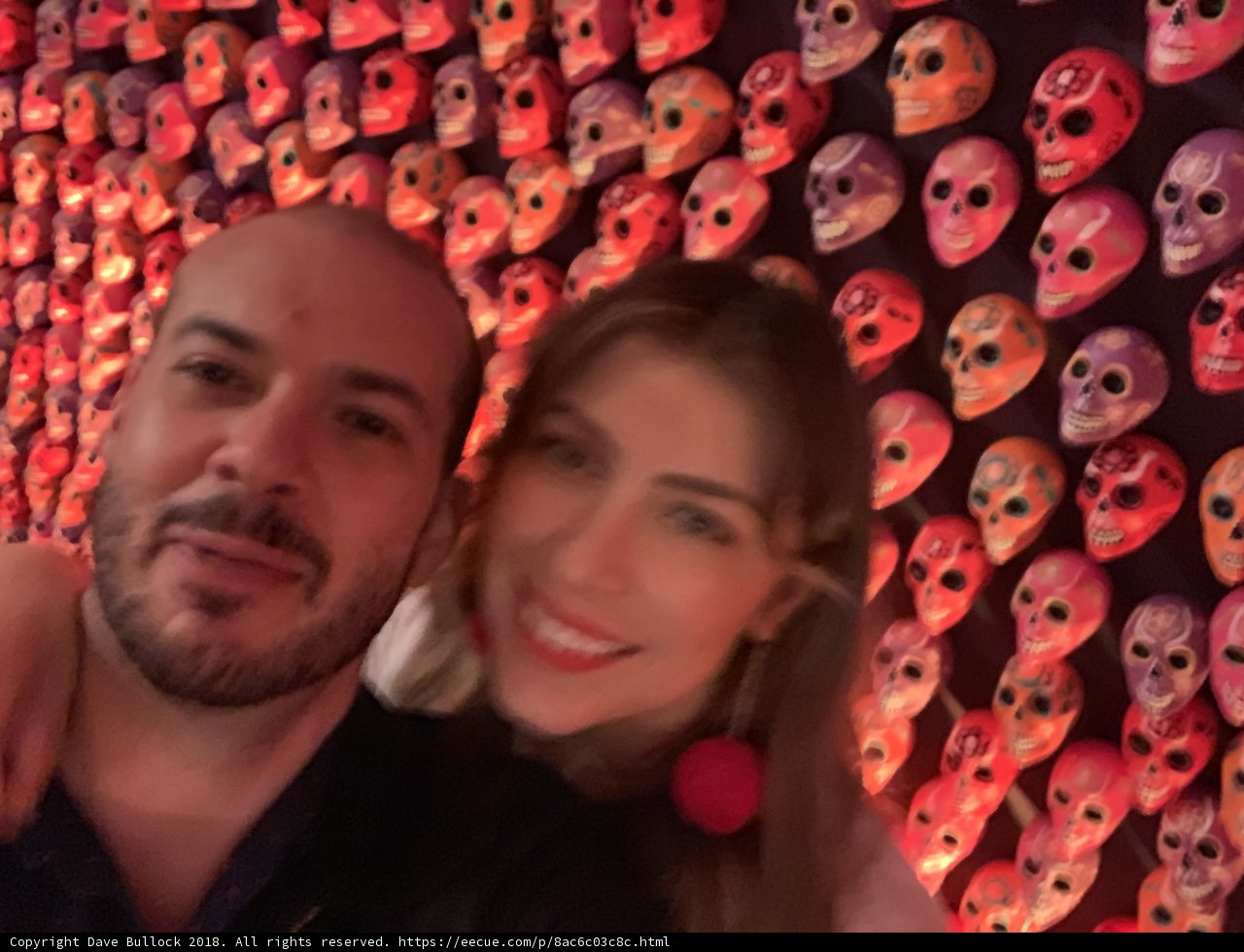 Skull Wall Selfie