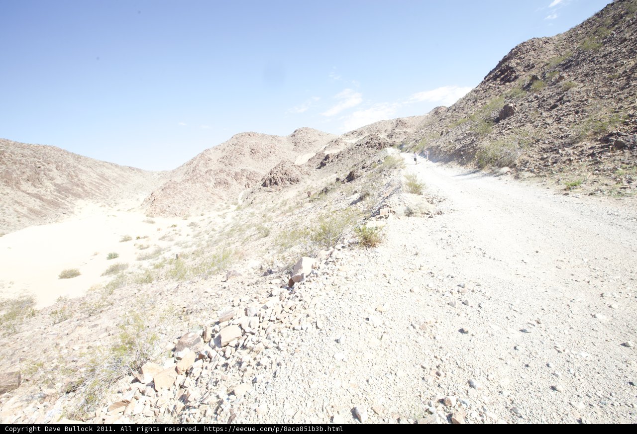 Desert Expedition