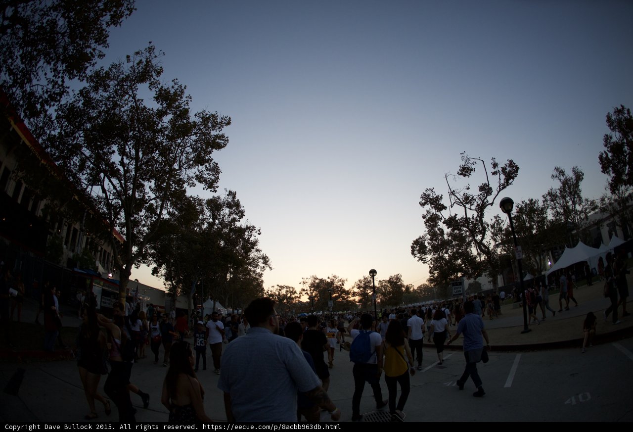 Festival Grounds at Dusk