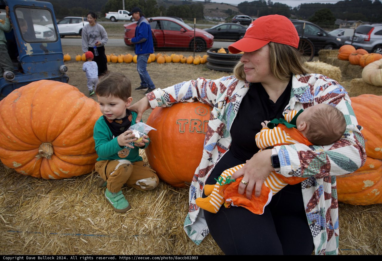 Harvest Moments