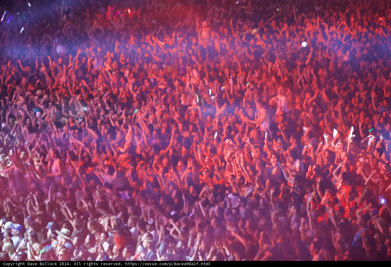 A Sea of Fans at Coachella