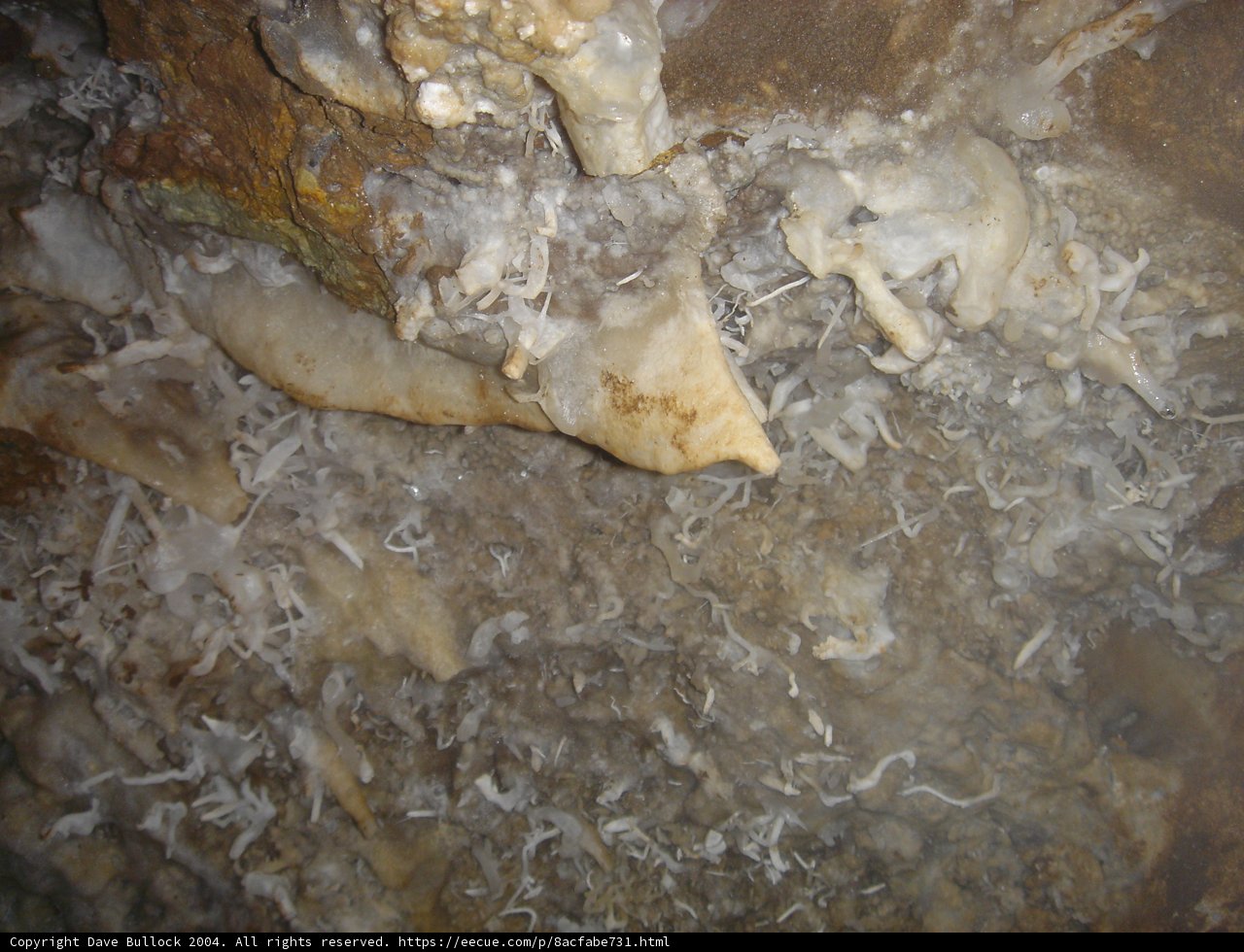 Natural Cave Bounty
