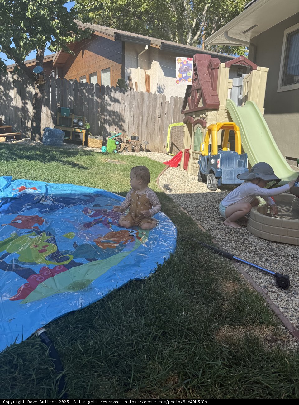 Summer Splash in the Backyard
