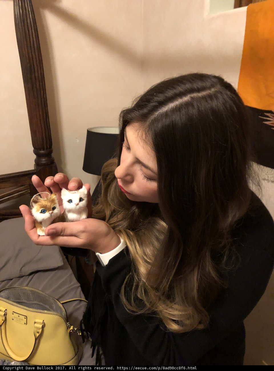 The Toy Cat Companion