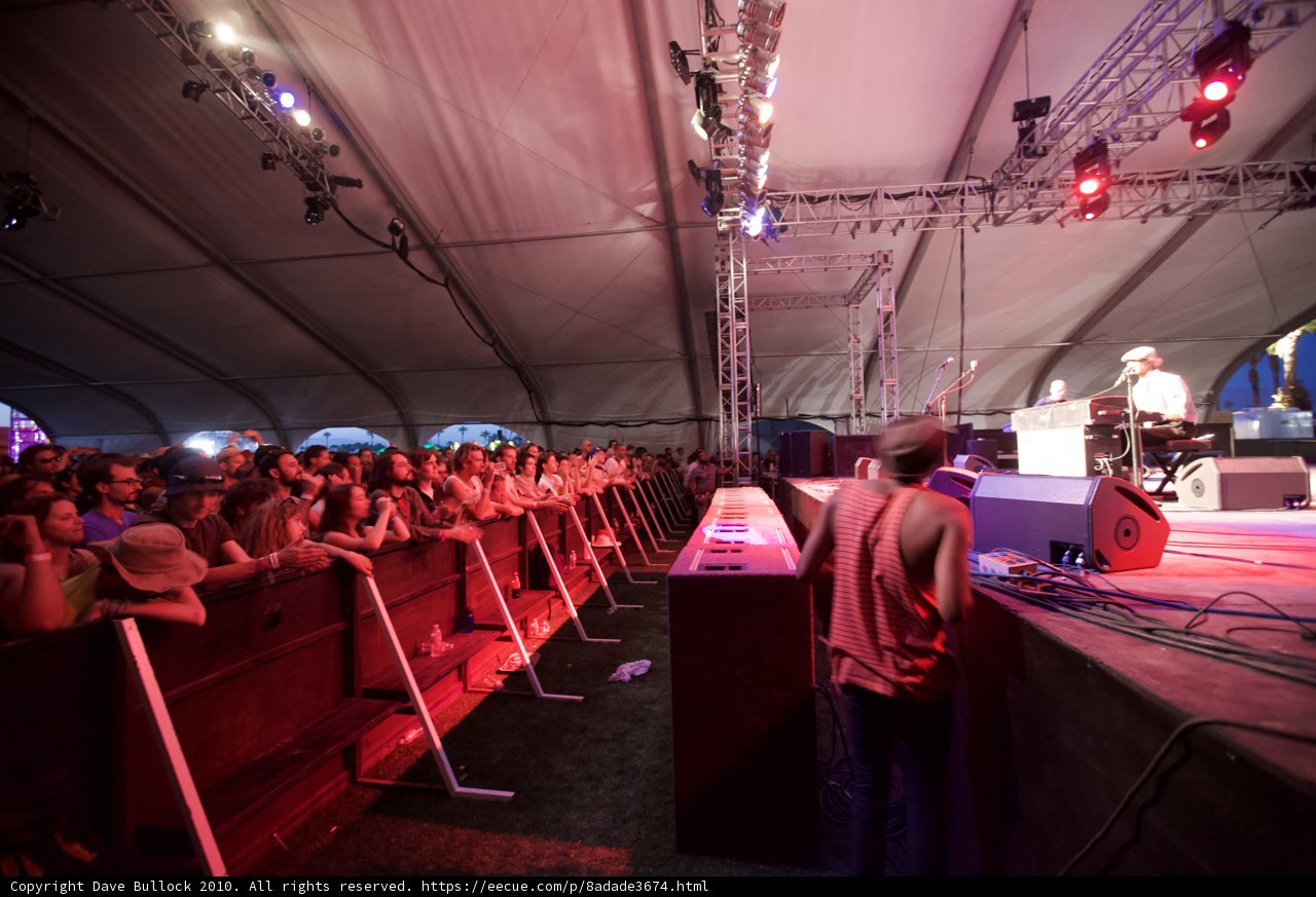 Cochella Concert Crowd