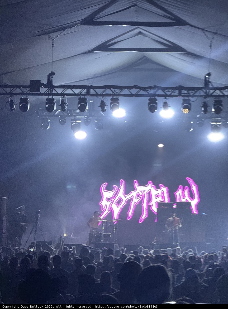 Electric Vibes Under the Desert Sky