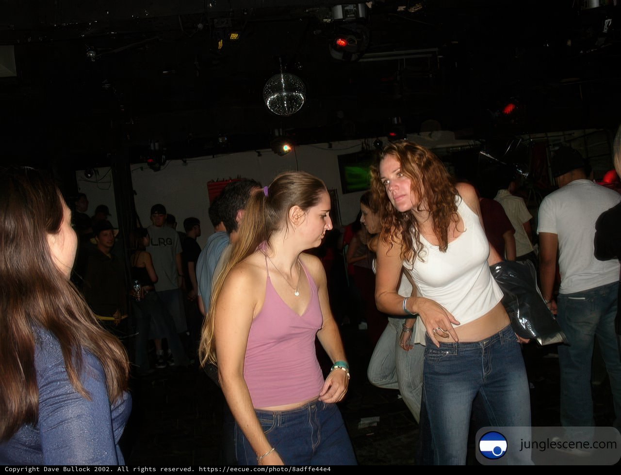 Nightclub Fun