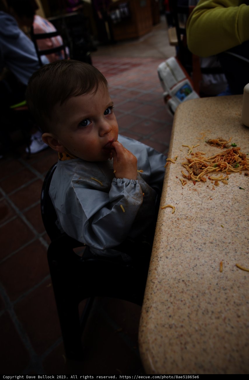 Little Foodie's Disneyland Adventure