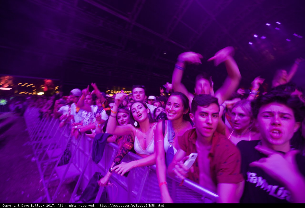 Purple Haze at Coachella '17