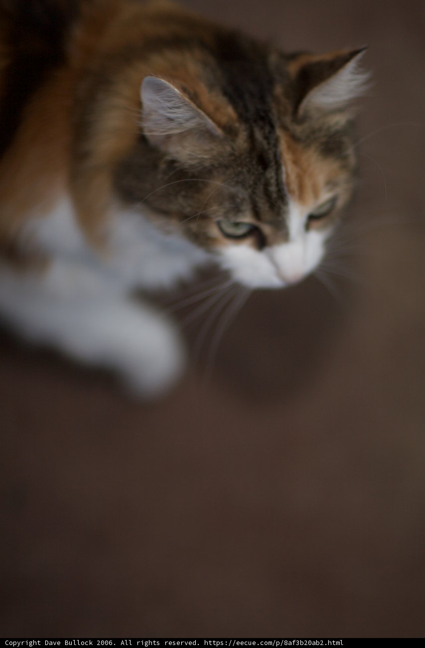 Curiosity Strikes