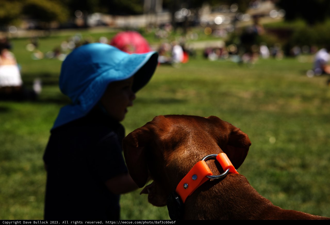 The Meeting at Dolores Park