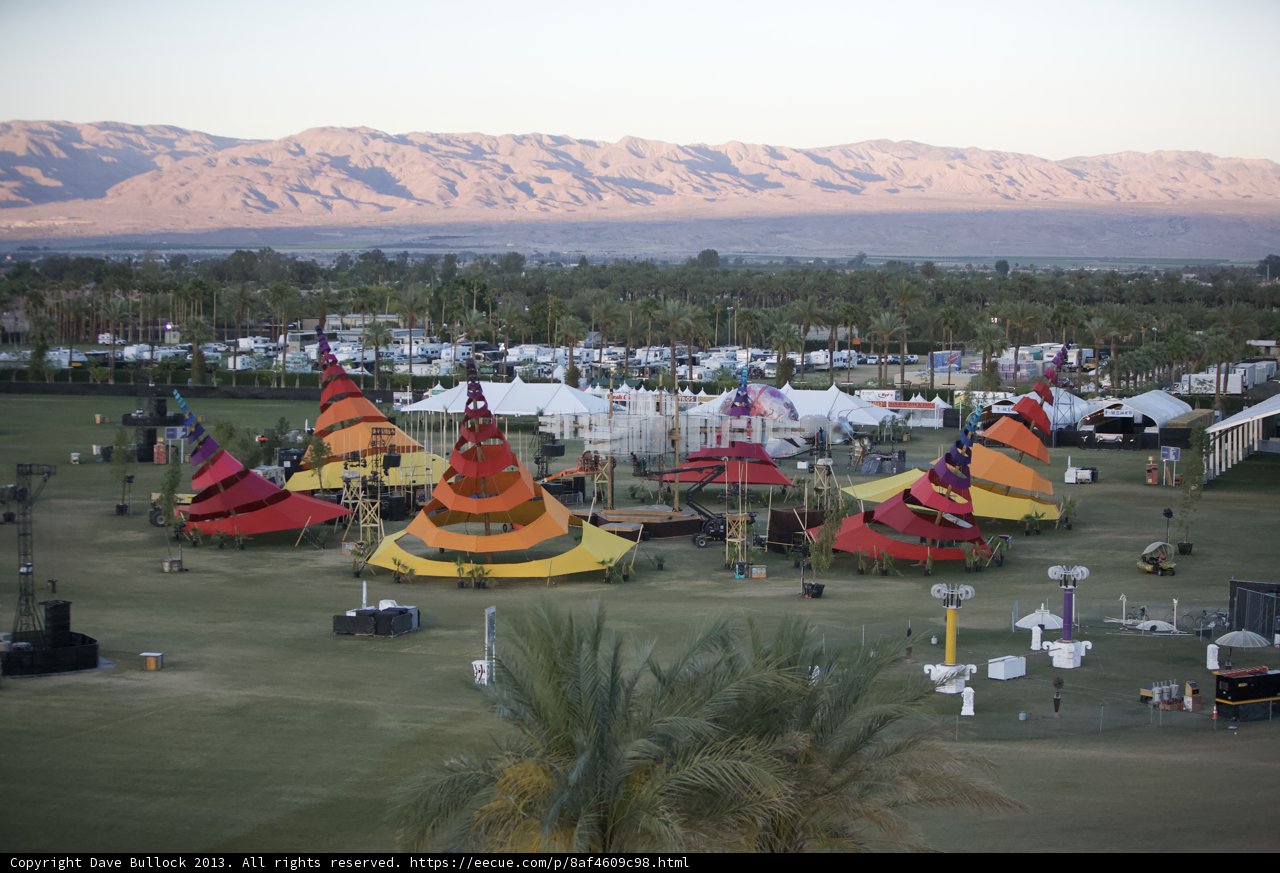 Camping under the Palm Trees