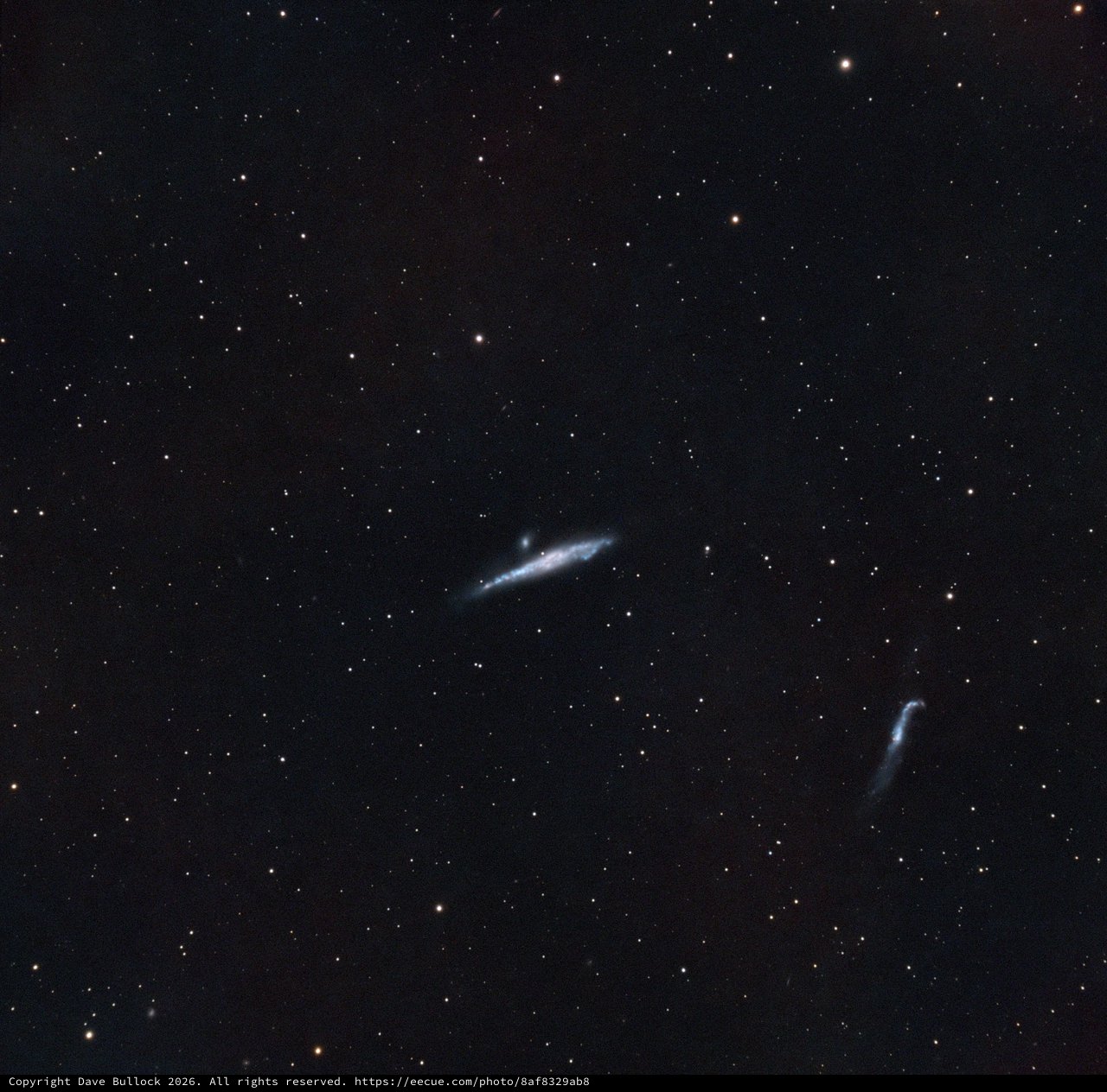 NGC 4631 - The Whale Galaxy in Deep Narrowband