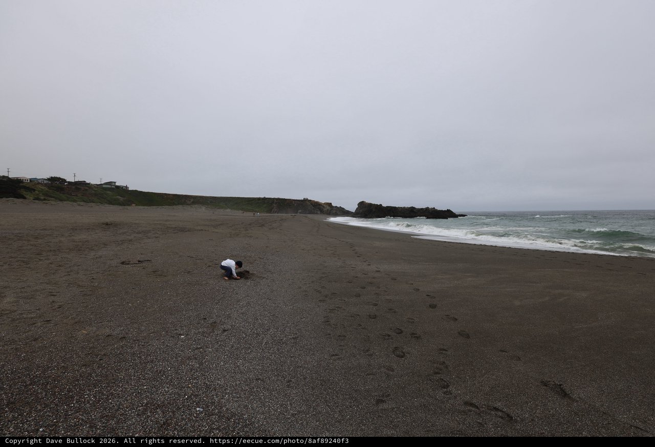 Solitary Explorer on a Fog-Shrouded Northern California Beach