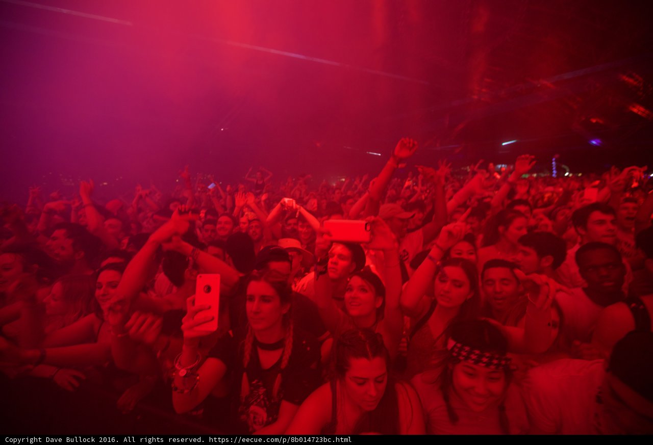 Urban Concert Crowd