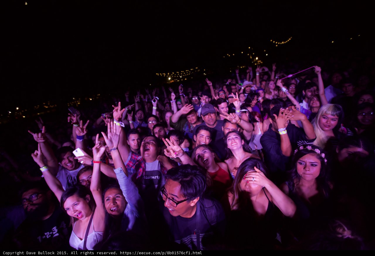 Cheering Festival Crowd