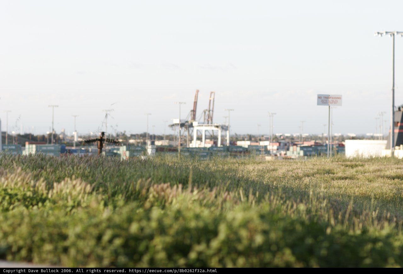 Farming by the Waterfront