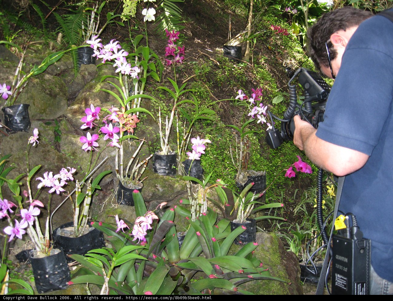 Capturing the Beauty of Nature