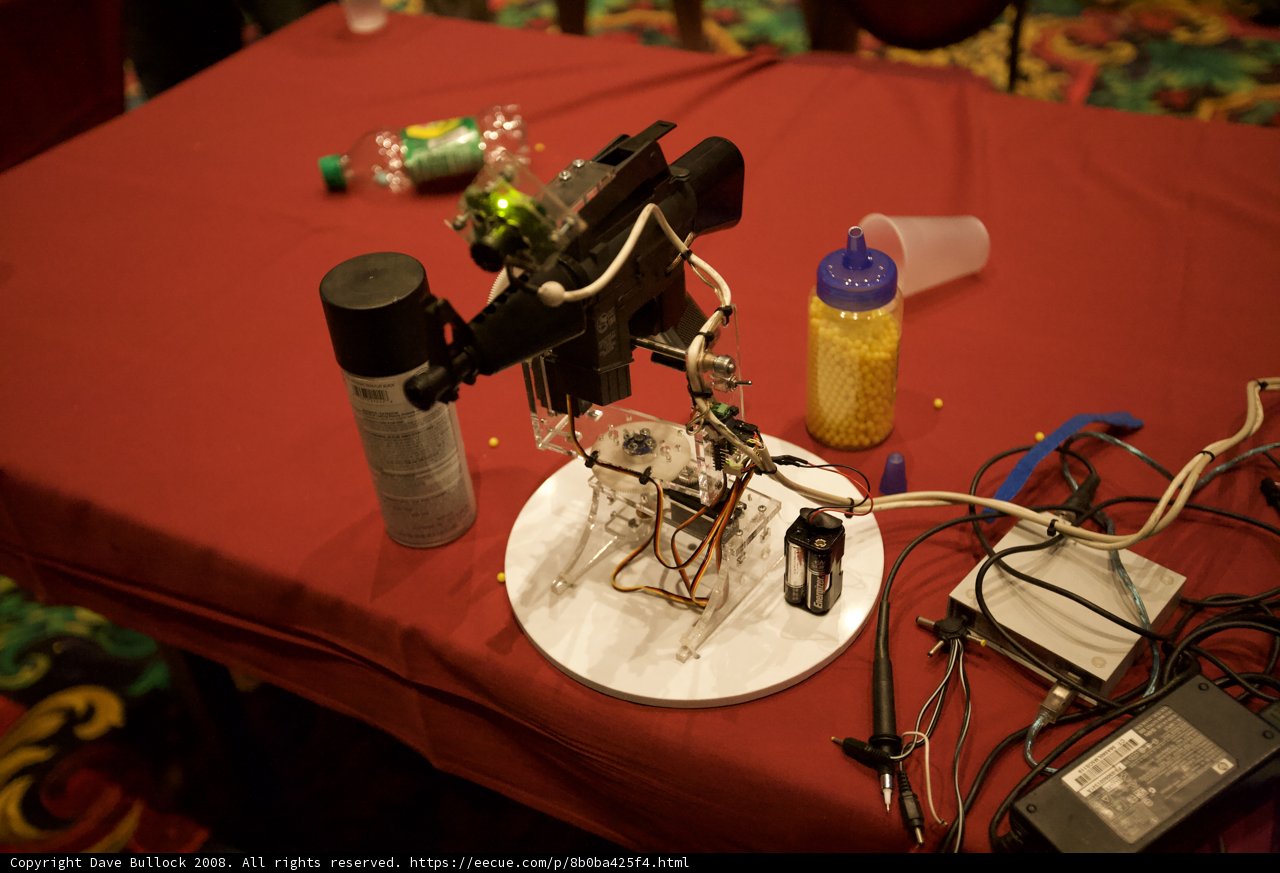 Robotic Companion