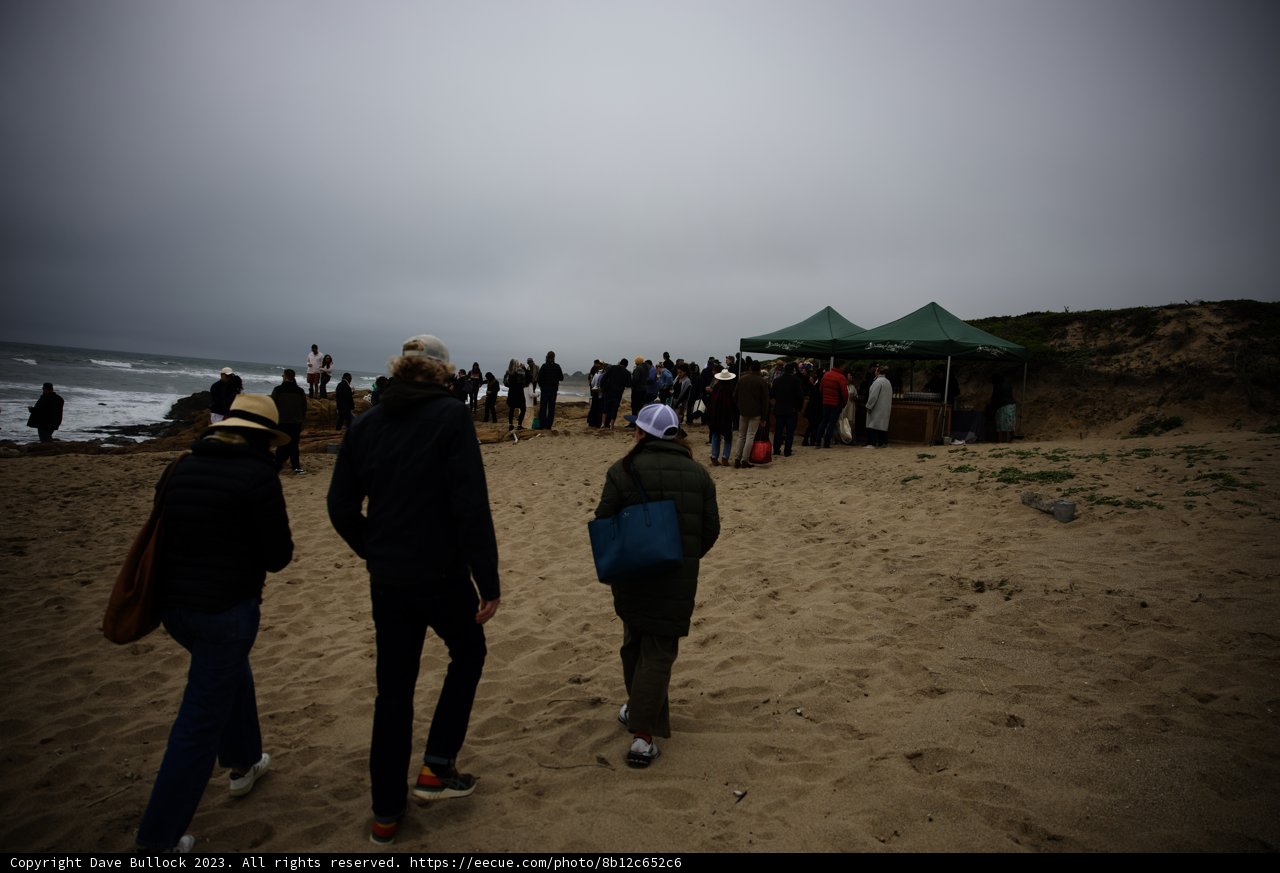 Coastal Adventure In Pescadero