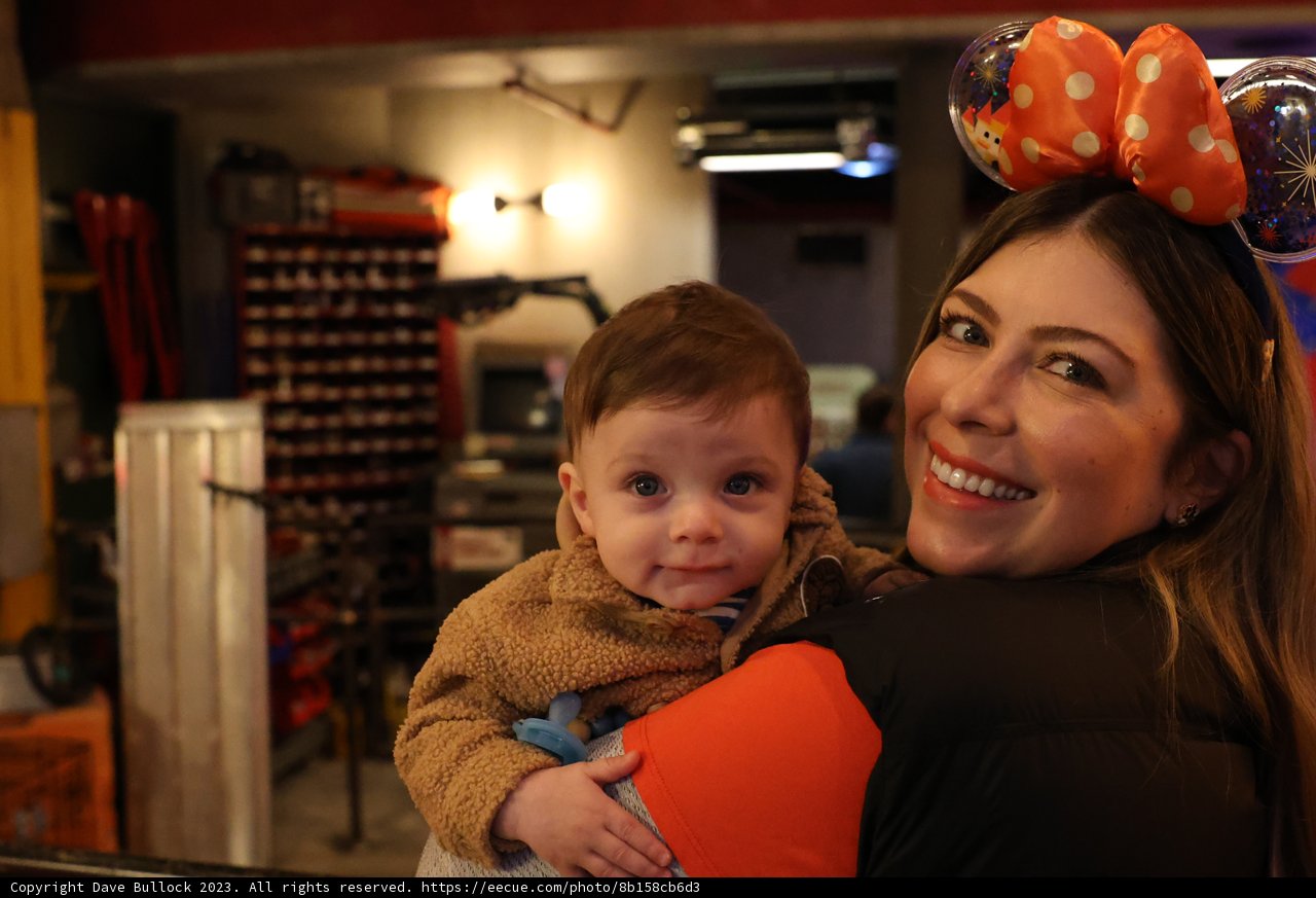 Mickey Mouse Motherhood