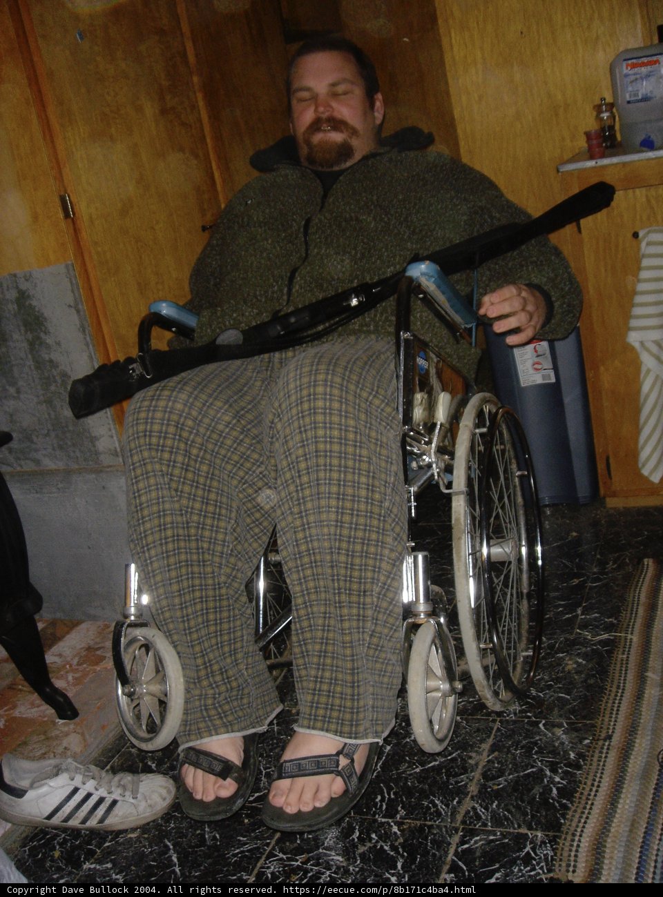 Flea F in his Wheelchair