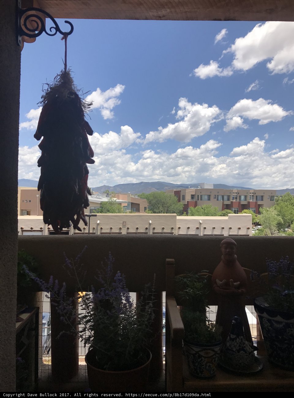 Mountain View from Balcony with Hanging Plant