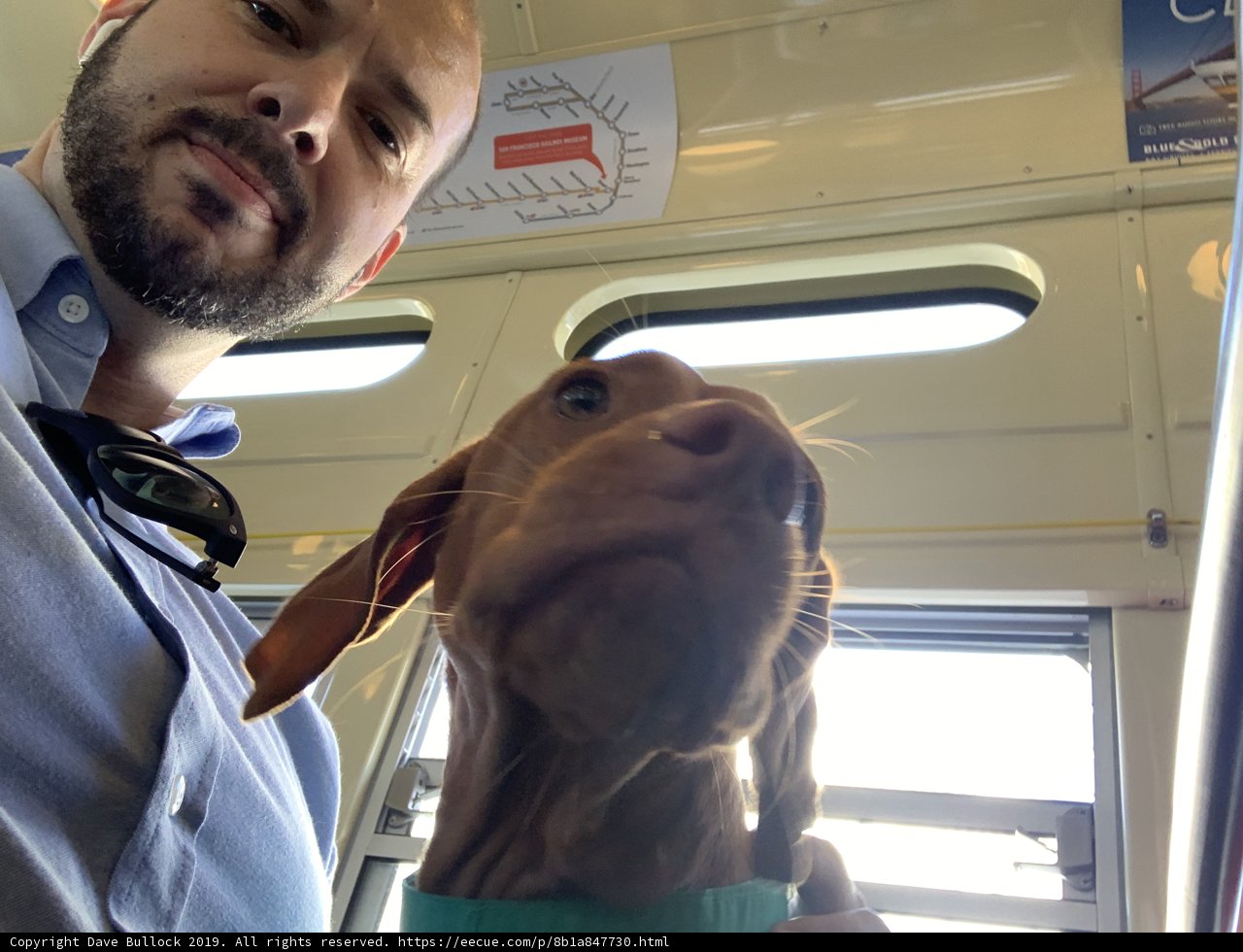 Commuting with My Best Friend